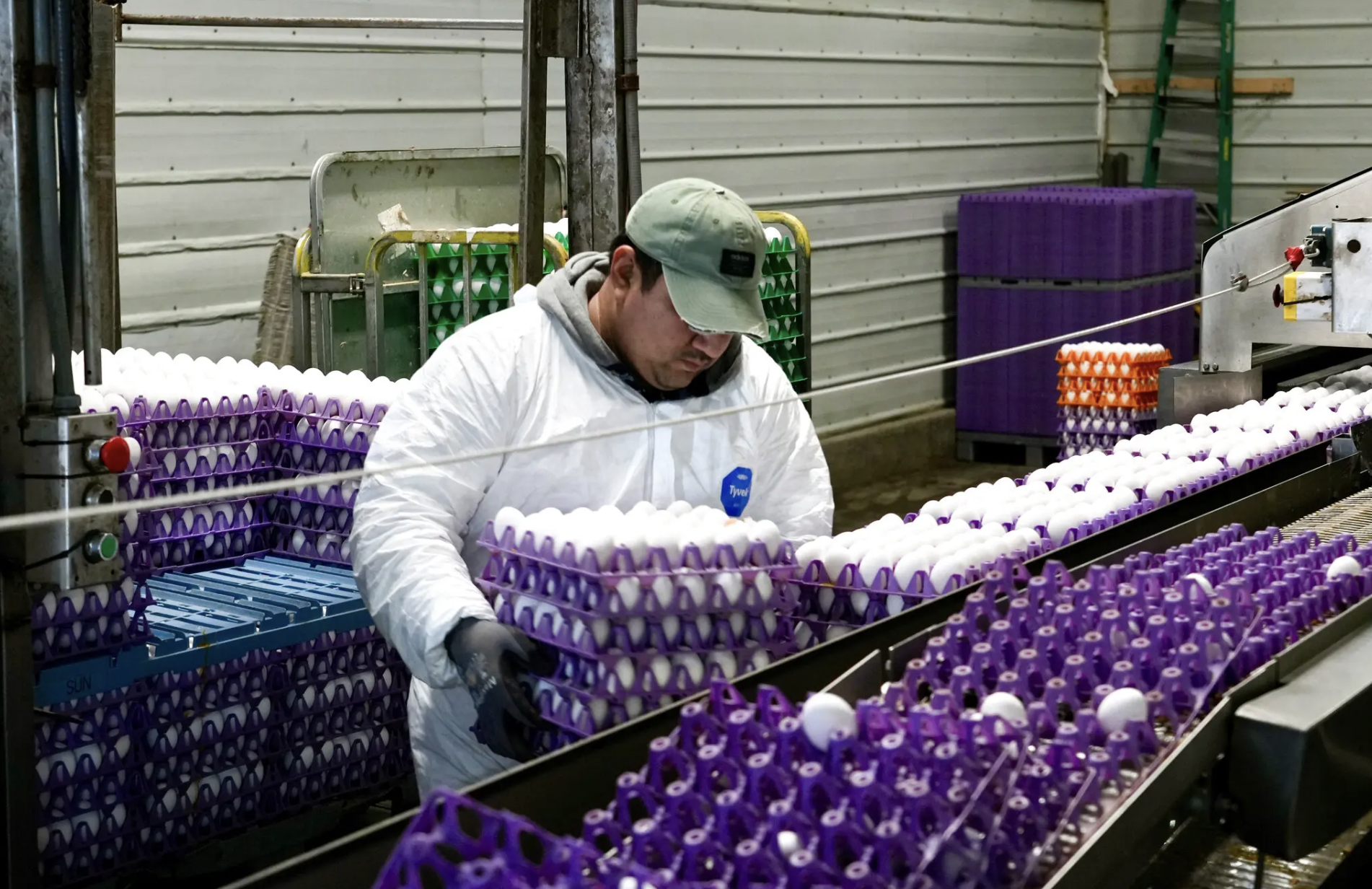 A worker at an egg processing plant in Petaluma, Calif., in 2024.